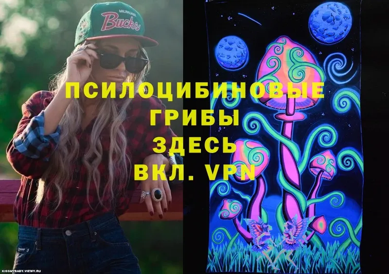 Галлюциногенные грибы Psilocybe  Полтавская 